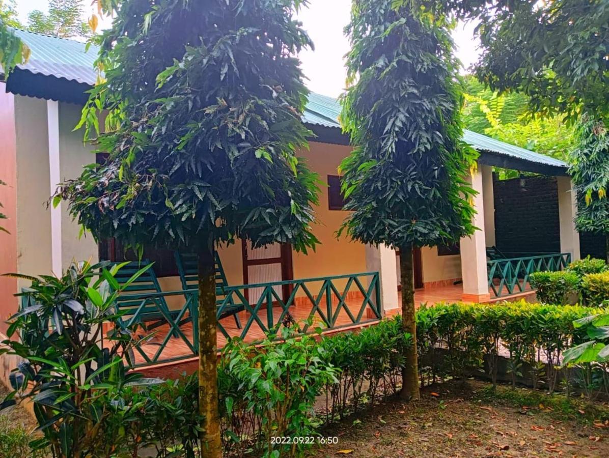 סאורהה Hotel Butterfly - Peaceful Garden For Nature Lovers מראה חיצוני תמונה