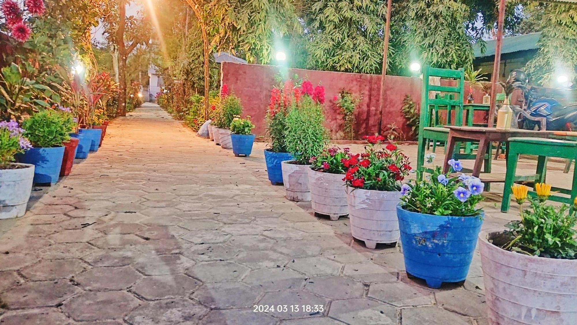 סאורהה Hotel Butterfly - Peaceful Garden For Nature Lovers מראה חיצוני תמונה