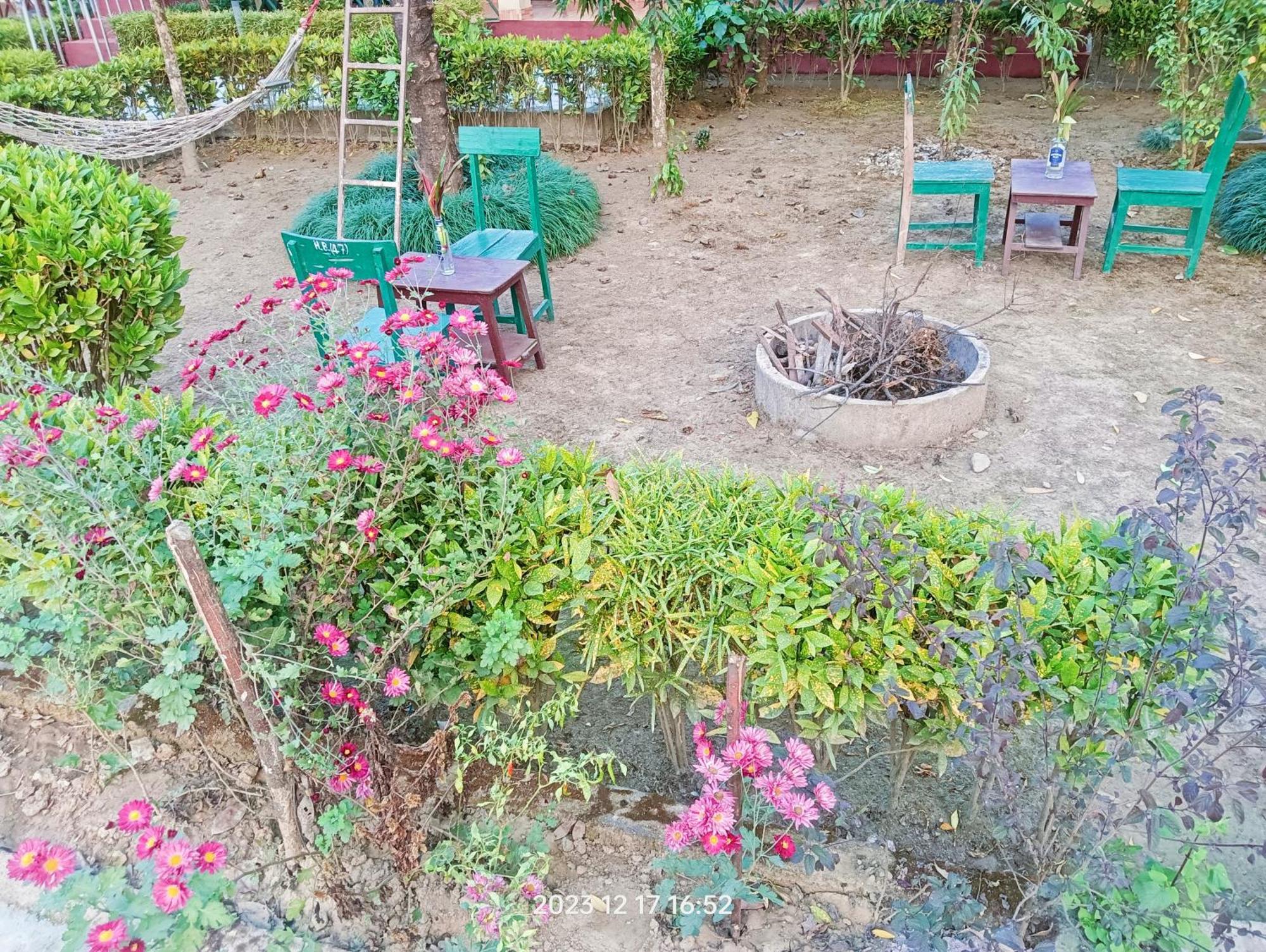 סאורהה Hotel Butterfly - Peaceful Garden For Nature Lovers מראה חיצוני תמונה