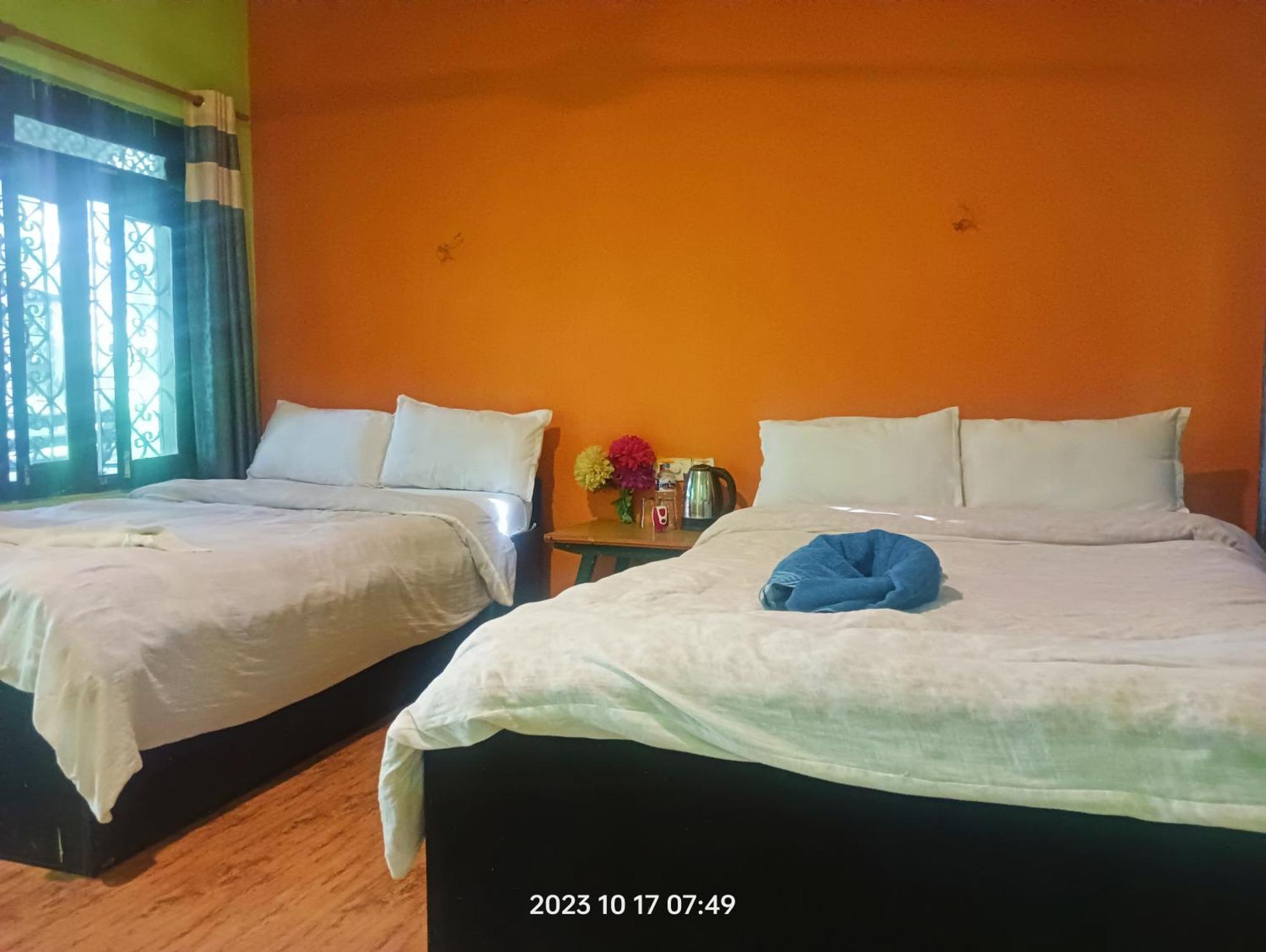 סאורהה Hotel Butterfly - Peaceful Garden For Nature Lovers מראה חיצוני תמונה