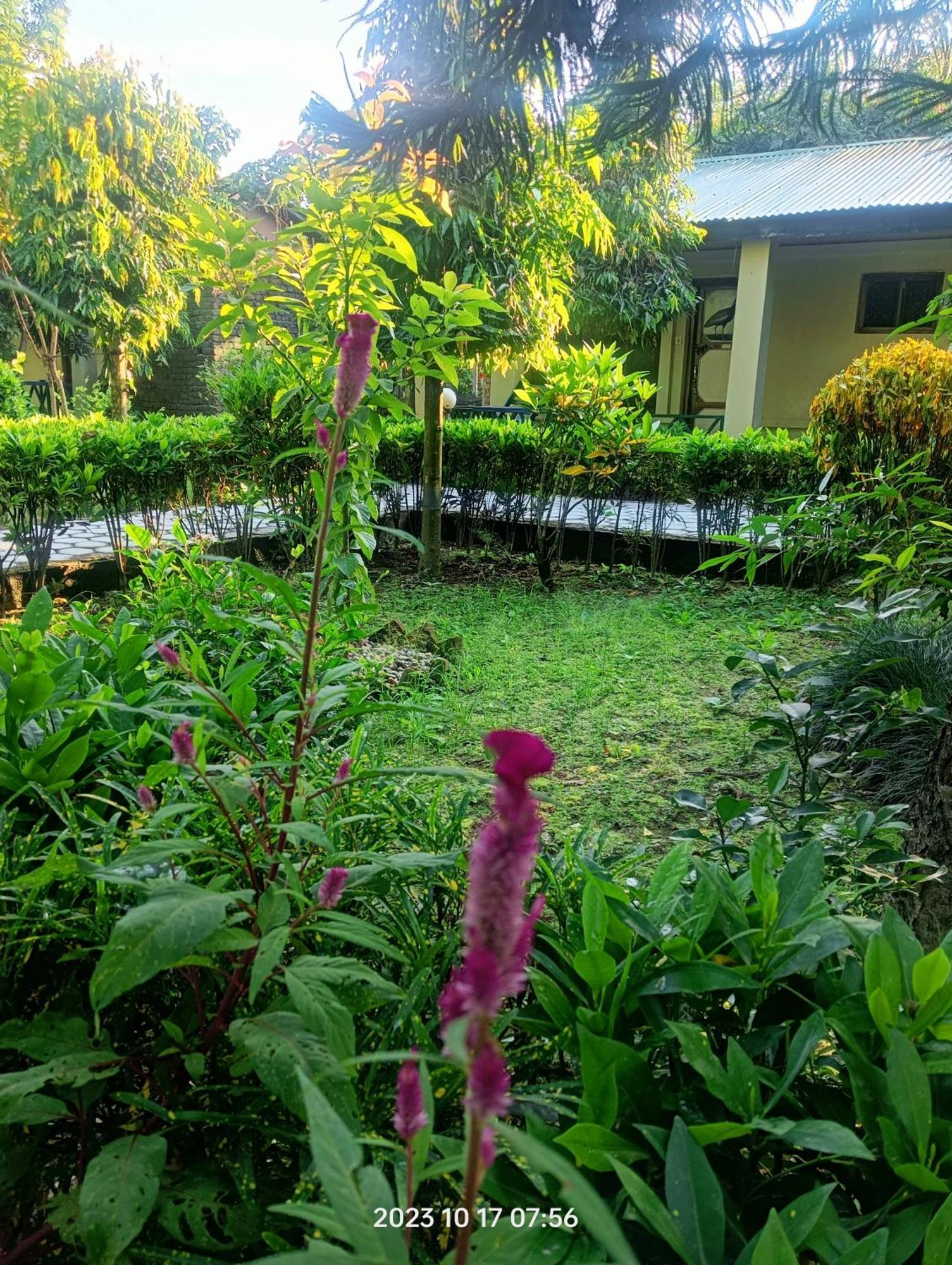 סאורהה Hotel Butterfly - Peaceful Garden For Nature Lovers מראה חיצוני תמונה
