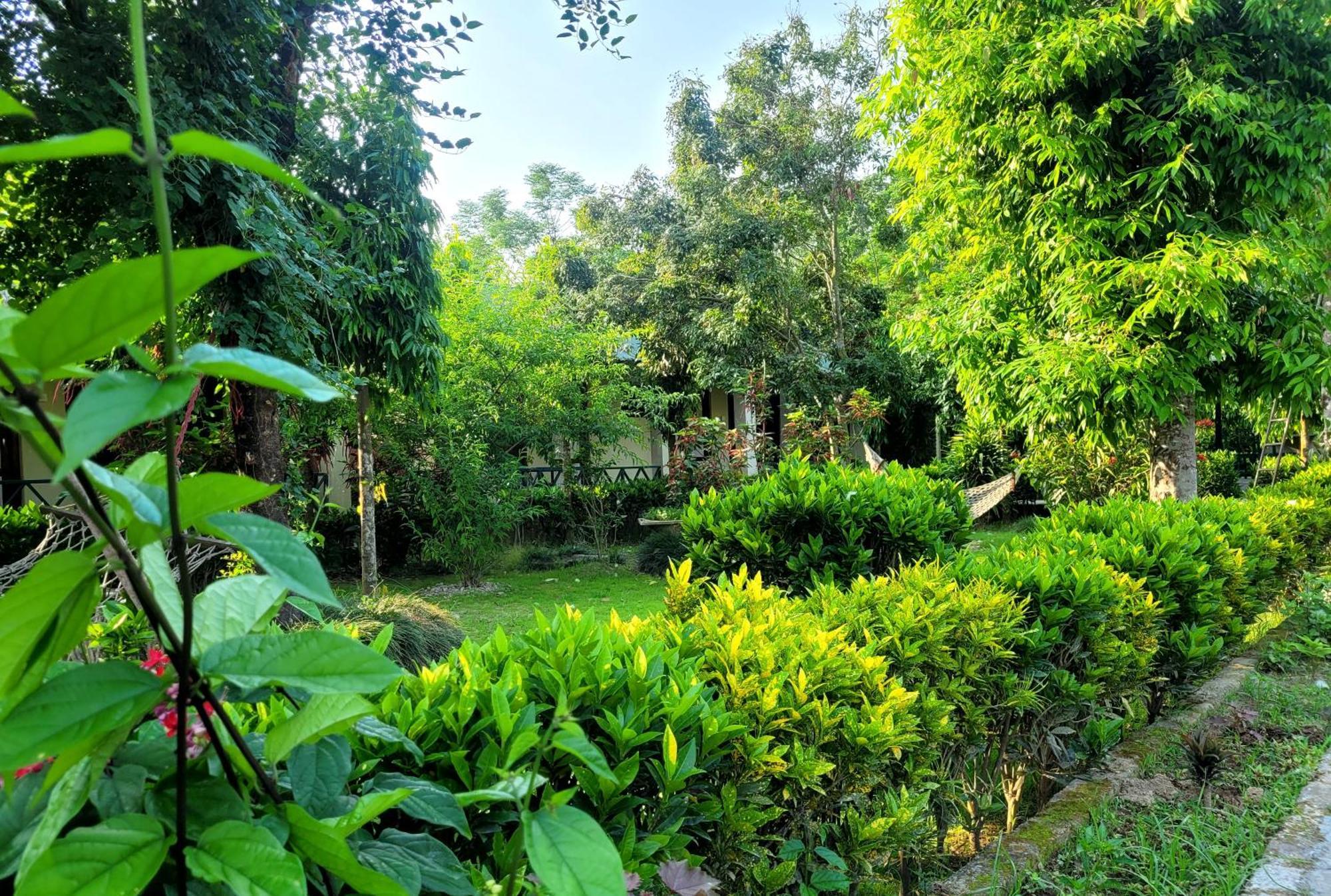 סאורהה Hotel Butterfly - Peaceful Garden For Nature Lovers מראה חיצוני תמונה
