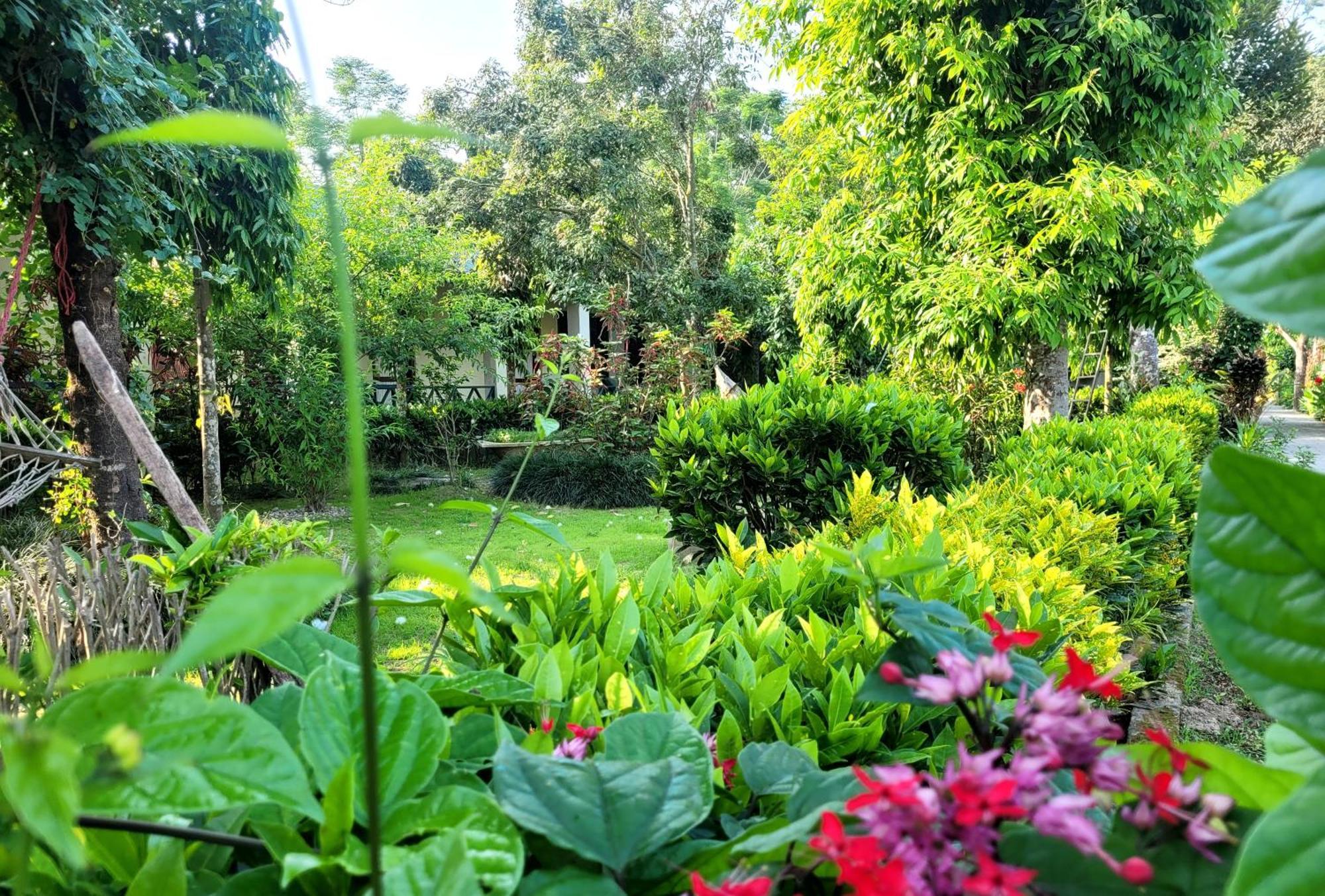 סאורהה Hotel Butterfly - Peaceful Garden For Nature Lovers מראה חיצוני תמונה