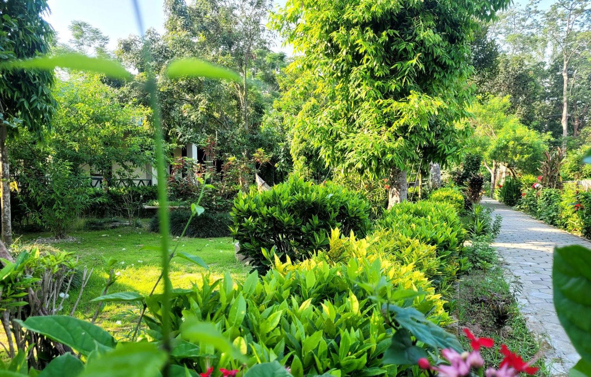 סאורהה Hotel Butterfly - Peaceful Garden For Nature Lovers מראה חיצוני תמונה